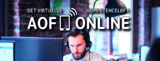 Unge brugte mere tid på onlineundervisning
