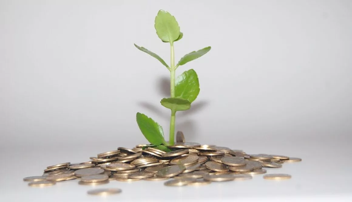 Her er årets temaer for DFS's puljer 